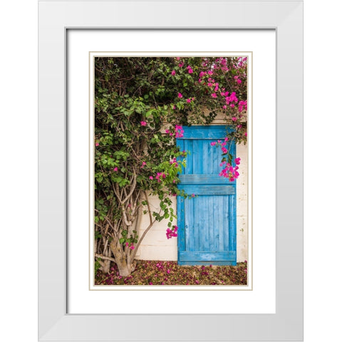 Canary Islands-Fuerteventura Island-La Oliva-blue door of garden shed White Modern Wood Framed Art Print with Double Matting by Bibikow, Walter
