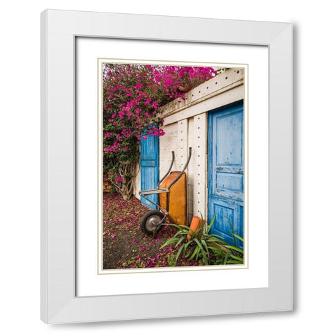 Canary Islands-Fuerteventura Island-La Oliva-blue door of garden shed White Modern Wood Framed Art Print with Double Matting by Bibikow, Walter