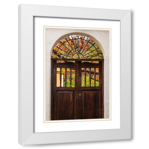 Canary Islands-La Palma Island-Santa Cruz de la Palma-persimmon fruit garden White Modern Wood Framed Art Print with Double Matting by Bibikow, Walter