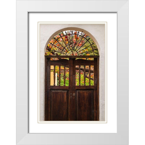 Canary Islands-La Palma Island-Santa Cruz de la Palma-persimmon fruit garden White Modern Wood Framed Art Print with Double Matting by Bibikow, Walter