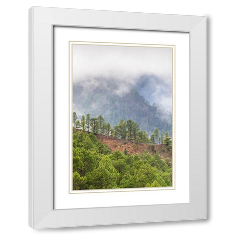 Canary Islands- White Modern Wood Framed Art Print with Double Matting by Bibikow, Walter