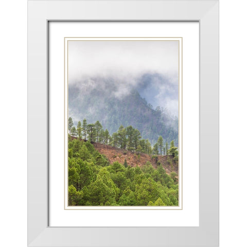 Canary Islands- White Modern Wood Framed Art Print with Double Matting by Bibikow, Walter