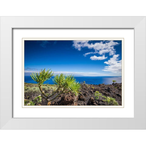 Canary Islands-La Palma Island-Fuencaliente de la Palma-Punta de Fuencaliente-volcanic landscape White Modern Wood Framed Art Print with Double Matting by Bibikow, Walter