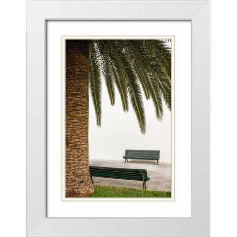 Canary Islands-La Palma Island-San Andres-detail of the village square White Modern Wood Framed Art Print with Double Matting by Bibikow, Walter