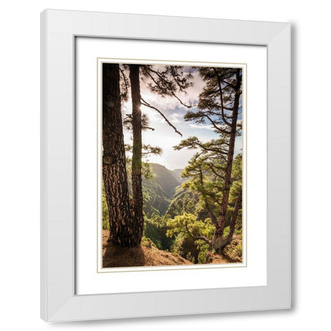Canary Islands-La Palma Island-Mirador de Garome-elevated coastal view White Modern Wood Framed Art Print with Double Matting by Bibikow, Walter