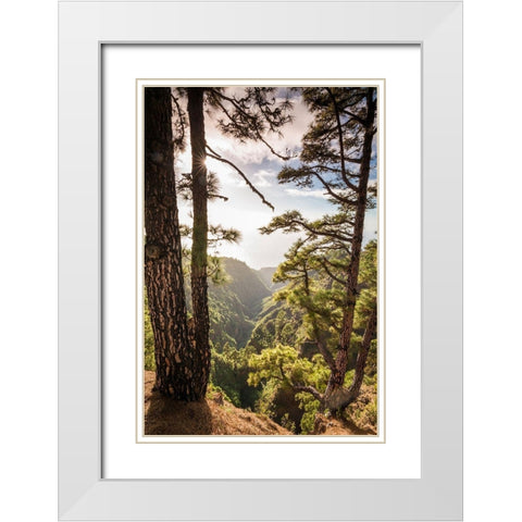 Canary Islands-La Palma Island-Mirador de Garome-elevated coastal view White Modern Wood Framed Art Print with Double Matting by Bibikow, Walter