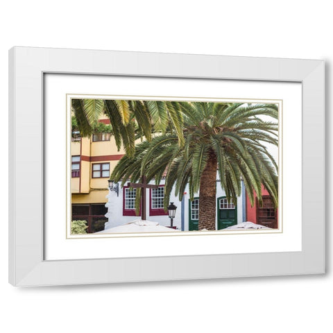Canary Islands-La Palma Island-Santa Cruz de la Palma-palm tree White Modern Wood Framed Art Print with Double Matting by Bibikow, Walter