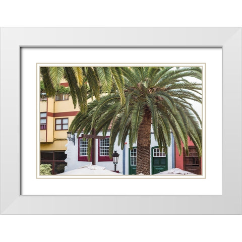 Canary Islands-La Palma Island-Santa Cruz de la Palma-palm tree White Modern Wood Framed Art Print with Double Matting by Bibikow, Walter