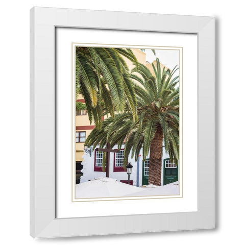 Canary Islands-La Palma Island-Santa Cruz de la Palma-palm tree White Modern Wood Framed Art Print with Double Matting by Bibikow, Walter