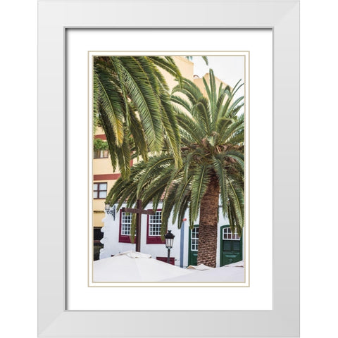 Canary Islands-La Palma Island-Santa Cruz de la Palma-palm tree White Modern Wood Framed Art Print with Double Matting by Bibikow, Walter