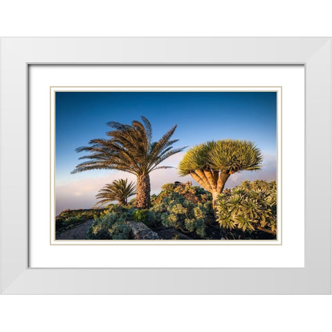 Canary Islands-El Hierro Island-Guarazoca-Mirador de la Pena White Modern Wood Framed Art Print with Double Matting by Bibikow, Walter