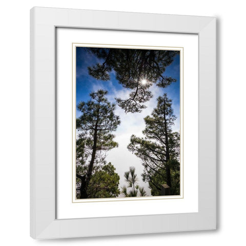 Canary Islands-El Hierro Island-Mirador de las Playas-elevated view of the east coast with fog White Modern Wood Framed Art Print with Double Matting by Bibikow, Walter