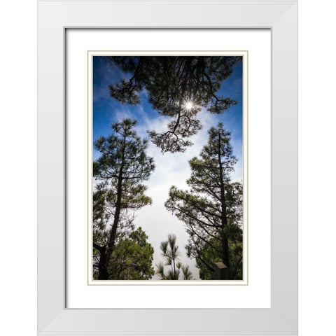 Canary Islands-El Hierro Island-Mirador de las Playas-elevated view of the east coast with fog White Modern Wood Framed Art Print with Double Matting by Bibikow, Walter