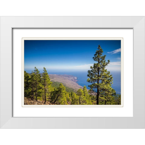 Canary Islands-El Hierro Island-Malpaso Mountain-elevation 1503 meters White Modern Wood Framed Art Print with Double Matting by Bibikow, Walter