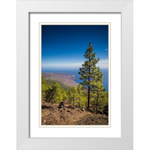 Canary Islands-El Hierro Island-Malpaso Mountain-elevation 1503 meters White Modern Wood Framed Art Print with Double Matting by Bibikow, Walter