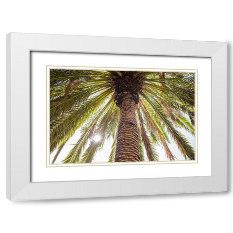 Canary Islands-Tenerife Island-Masca-palm tree White Modern Wood Framed Art Print with Double Matting by Bibikow, Walter