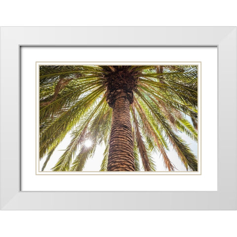 Canary Islands-Tenerife Island-Masca-palm tree White Modern Wood Framed Art Print with Double Matting by Bibikow, Walter