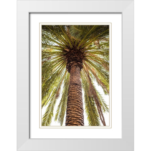 Canary Islands-Tenerife Island-Masca-palm tree White Modern Wood Framed Art Print with Double Matting by Bibikow, Walter