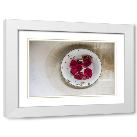 Canary Islands-Tenerife Island-La Orotava-roses in antique dish White Modern Wood Framed Art Print with Double Matting by Bibikow, Walter