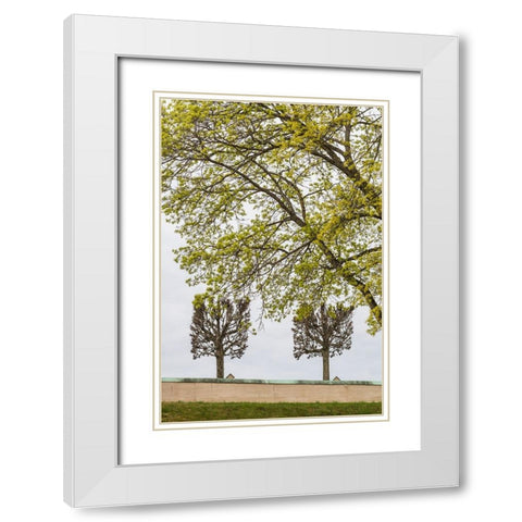 Sweden-Stockholm-trees-early spring White Modern Wood Framed Art Print with Double Matting by Bibikow, Walter