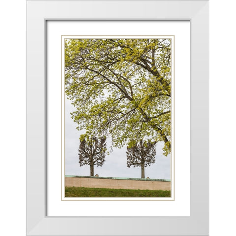Sweden-Stockholm-trees-early spring White Modern Wood Framed Art Print with Double Matting by Bibikow, Walter