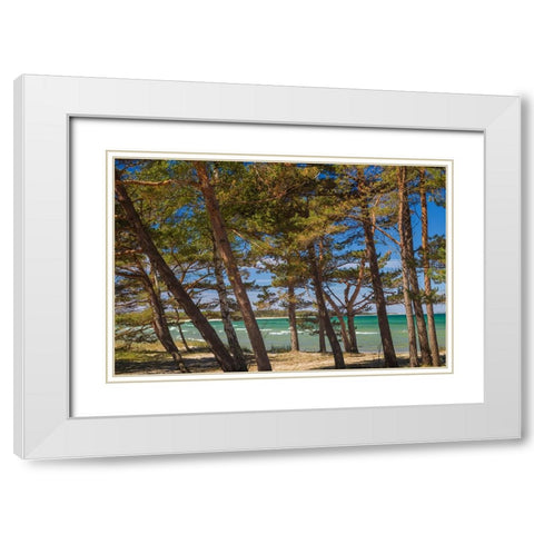 Sweden-Faro Island-Fifang-view of Ajkesvik Bay White Modern Wood Framed Art Print with Double Matting by Bibikow, Walter