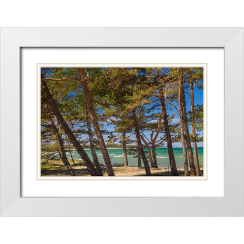 Sweden-Faro Island-Fifang-view of Ajkesvik Bay White Modern Wood Framed Art Print with Double Matting by Bibikow, Walter