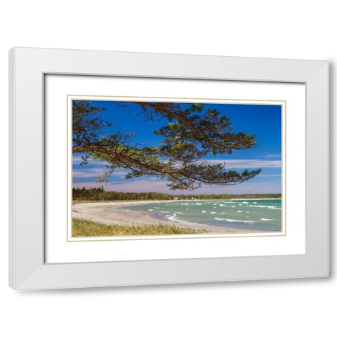 Sweden-Faro Island-Fifang-view of Ajkesvik Bay White Modern Wood Framed Art Print with Double Matting by Bibikow, Walter