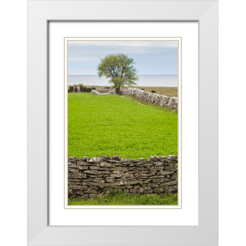 Sweden-Gotland Island-Sundre-stone wall-southern Gotland White Modern Wood Framed Art Print with Double Matting by Bibikow, Walter