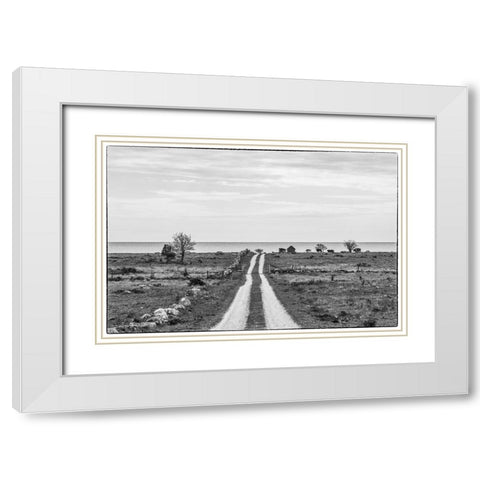 Sweden-Gotland Island-Sundre-country road-southern Gotland White Modern Wood Framed Art Print with Double Matting by Bibikow, Walter