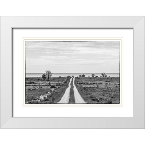 Sweden-Gotland Island-Sundre-country road-southern Gotland White Modern Wood Framed Art Print with Double Matting by Bibikow, Walter