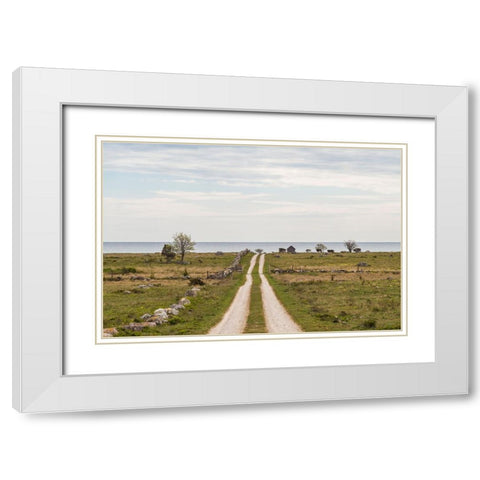 Sweden-Gotland Island-Sundre-country road-southern Gotland White Modern Wood Framed Art Print with Double Matting by Bibikow, Walter