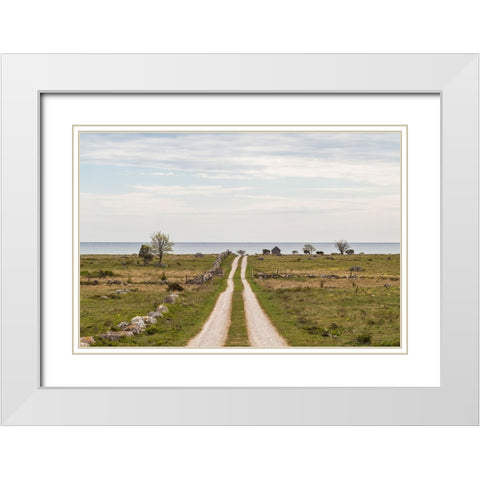 Sweden-Gotland Island-Sundre-country road-southern Gotland White Modern Wood Framed Art Print with Double Matting by Bibikow, Walter