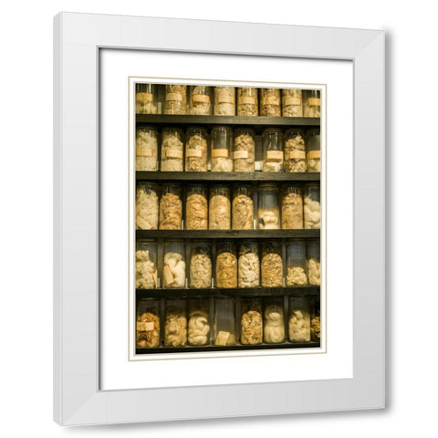 Sweden-Norrkoping-former mill town-cotton samples White Modern Wood Framed Art Print with Double Matting by Bibikow, Walter