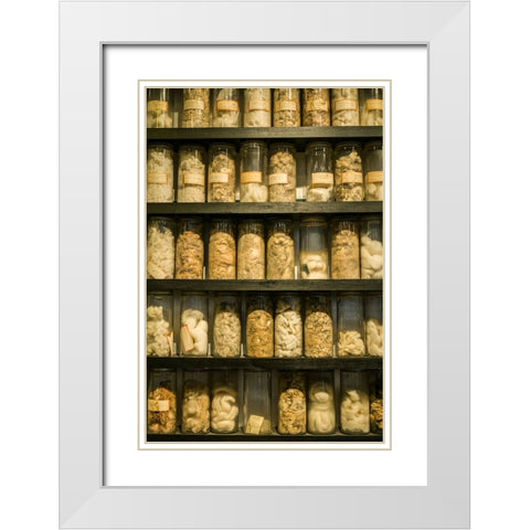 Sweden-Norrkoping-former mill town-cotton samples White Modern Wood Framed Art Print with Double Matting by Bibikow, Walter