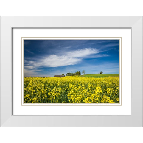 Sweden-Bergs Slussar-springtime landscape White Modern Wood Framed Art Print with Double Matting by Bibikow, Walter