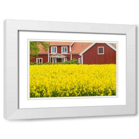 Sweden-Lake Vattern Area-Renstad-farm-springtime White Modern Wood Framed Art Print with Double Matting by Bibikow, Walter
