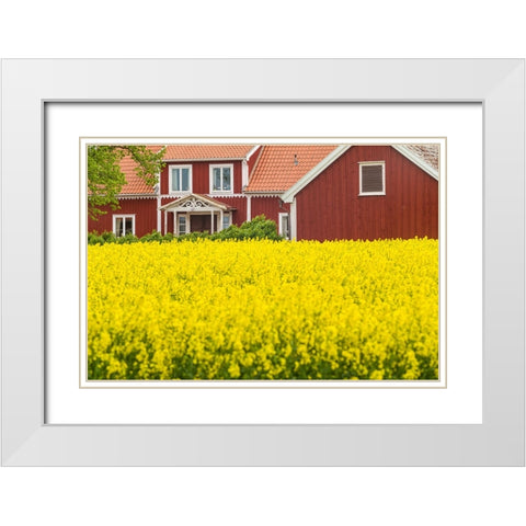 Sweden-Lake Vattern Area-Renstad-farm-springtime White Modern Wood Framed Art Print with Double Matting by Bibikow, Walter