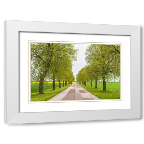 Sweden-Lake Vattern Area-country road-springtime White Modern Wood Framed Art Print with Double Matting by Bibikow, Walter