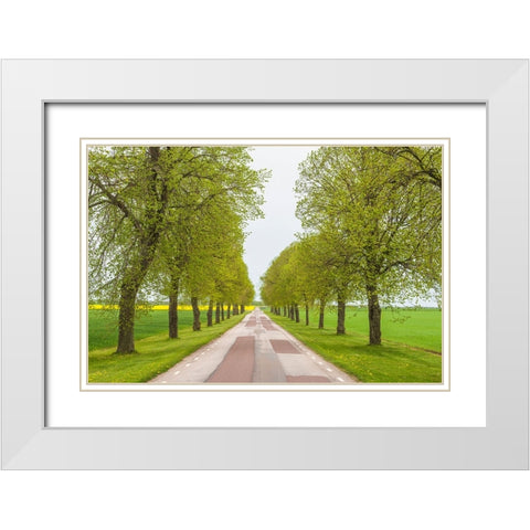 Sweden-Lake Vattern Area-country road-springtime White Modern Wood Framed Art Print with Double Matting by Bibikow, Walter