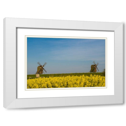 Sweden-Oland Island-Lerkaka-antique wooden windmills White Modern Wood Framed Art Print with Double Matting by Bibikow, Walter
