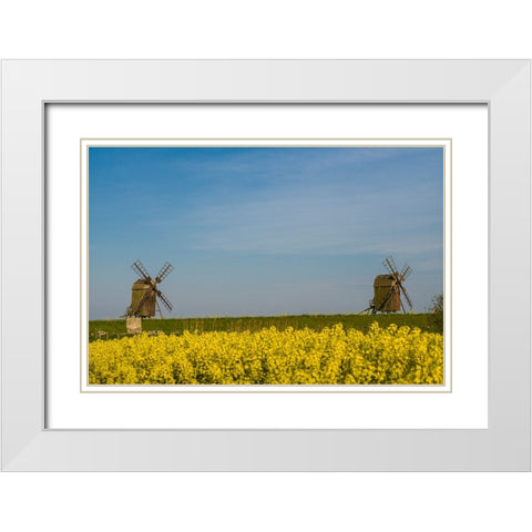 Sweden-Oland Island-Lerkaka-antique wooden windmills White Modern Wood Framed Art Print with Double Matting by Bibikow, Walter