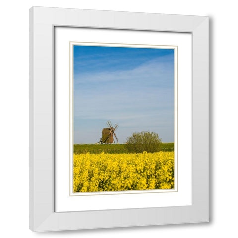 Sweden-Oland Island-Lerkaka-antique wooden windmills White Modern Wood Framed Art Print with Double Matting by Bibikow, Walter