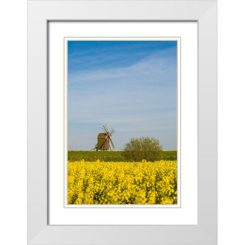 Sweden-Oland Island-Lerkaka-antique wooden windmills White Modern Wood Framed Art Print with Double Matting by Bibikow, Walter