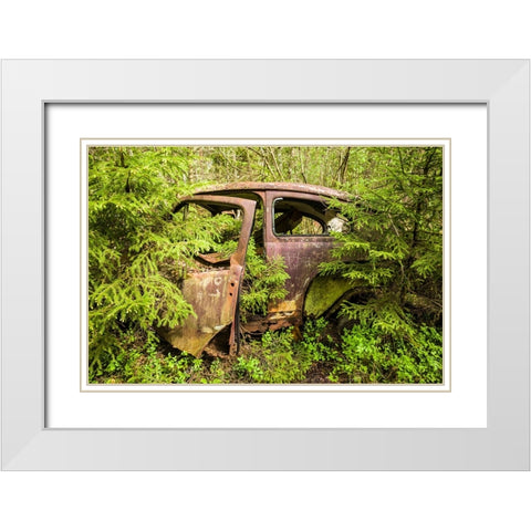 Sweden-Smaland-Ryd-Kyrko Mosse Car Cemetery-former junkyard now pubic park-junked cars White Modern Wood Framed Art Print with Double Matting by Bibikow, Walter