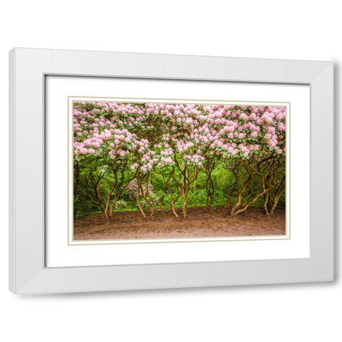 Sweden-Scania-Molle-Krapperups Slott castle-ancient home of the Gyllenstierna family-public garden- White Modern Wood Framed Art Print with Double Matting by Bibikow, Walter