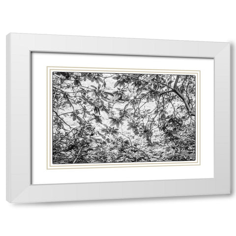 Sweden-Scania-Molle-Krapperups Slott castle-ancient home of the Gyllenstierna family-public garden- White Modern Wood Framed Art Print with Double Matting by Bibikow, Walter