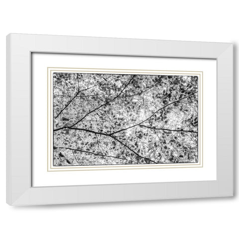 Sweden-Scania-Molle-Krapperups Slott castle-ancient home of the Gyllenstierna family-public garden- White Modern Wood Framed Art Print with Double Matting by Bibikow, Walter