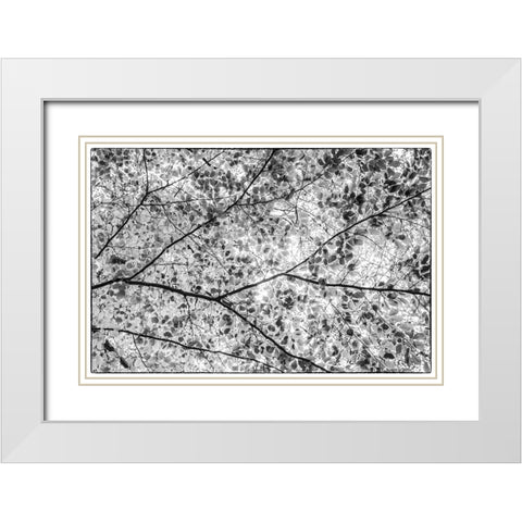 Sweden-Scania-Molle-Krapperups Slott castle-ancient home of the Gyllenstierna family-public garden- White Modern Wood Framed Art Print with Double Matting by Bibikow, Walter