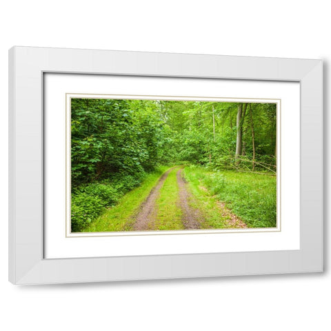 Sweden-Scania-Molle-Krapperups Slott castle-ancient home of the Gyllenstierna family-public garden- White Modern Wood Framed Art Print with Double Matting by Bibikow, Walter